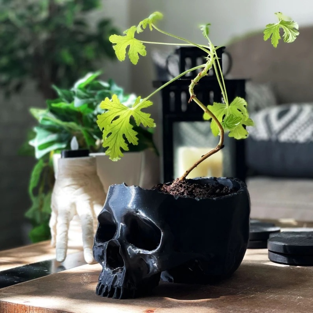 Customizable Skull Planter/Bowl - choose your color and size